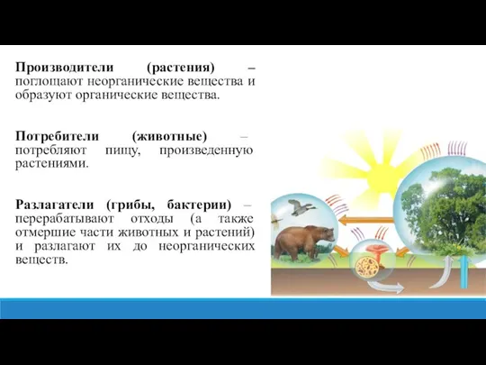 Производители (растения) – поглощают неорганические вещества и образуют органические вещества. Потребители (животные)