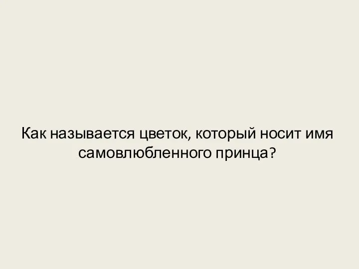 Как называется цветок, который носит имя самовлюбленного принца?