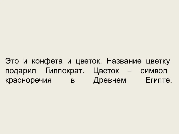 Это и конфета и цветок. Название цветку подарил Гиппократ. Цветок – символ красноречия в Древнем Египте.