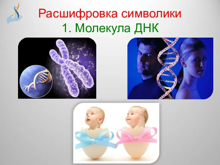 Расшифровка символики 1. Молекула ДНК
