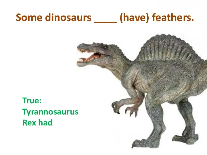 Some dinosaurs ____ (have) feathers. True: Tyrannosaurus Rex had