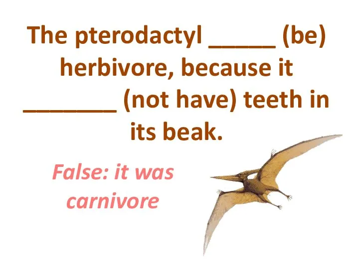 The pterodactyl _____ (be) herbivore, because it _______ (not have) teeth in