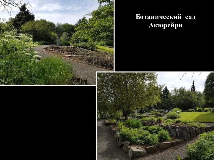 Ботанический сад Акюрейри