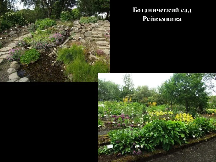 Ботанический сад Рейкьявика