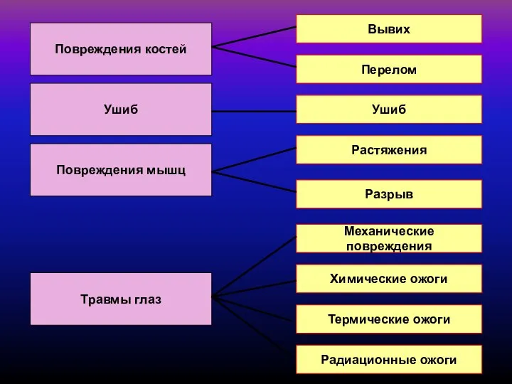 Вывих Перелом Радиационные ожоги Ушиб Разрыв Термические ожоги Растяжения Механические повреждения Химические