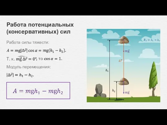 Работа силы тяжести: Работа потенциальных (консервативных) сил Модуль перемещения: