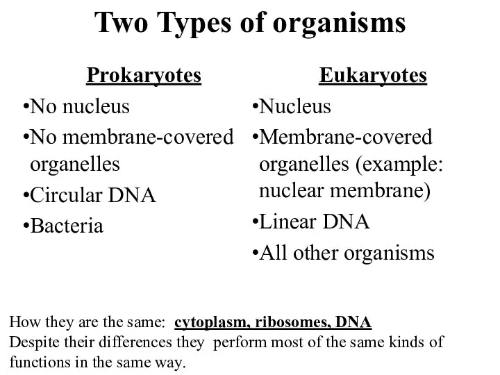 Two Types of organisms Prokaryotes No nucleus No membrane-covered organelles Circular DNA