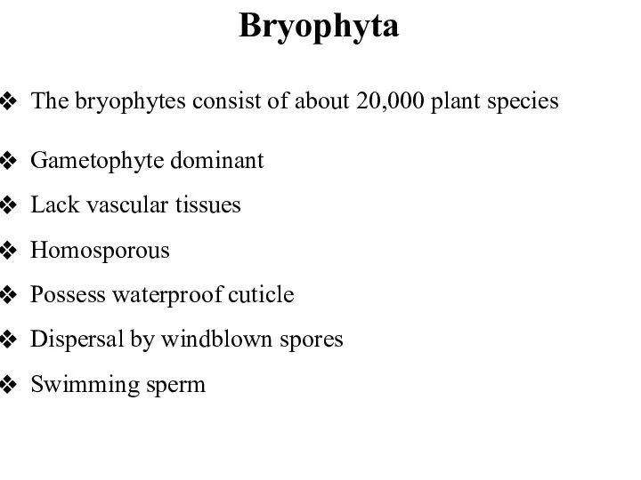 The bryophytes consist of about 20,000 plant species Gametophyte dominant Lack vascular