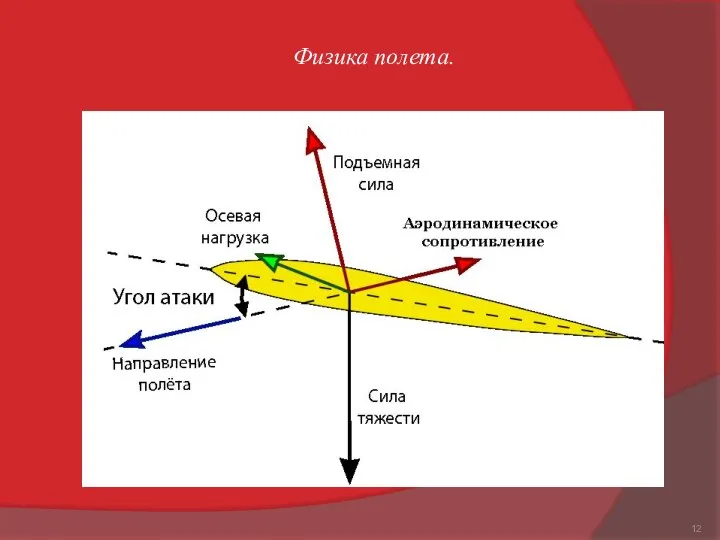 Физика полета.