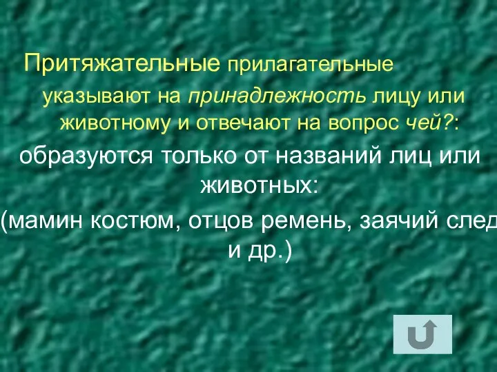 Притяжательные прилагательные указывают на принадлежность лицу или животному и отвечают на вопрос