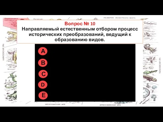 Правильно на всех рисунках Вопрос № 10 Направляемый естественным отбором процесс исторических