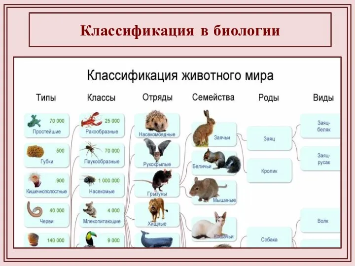 Классификация в биологии