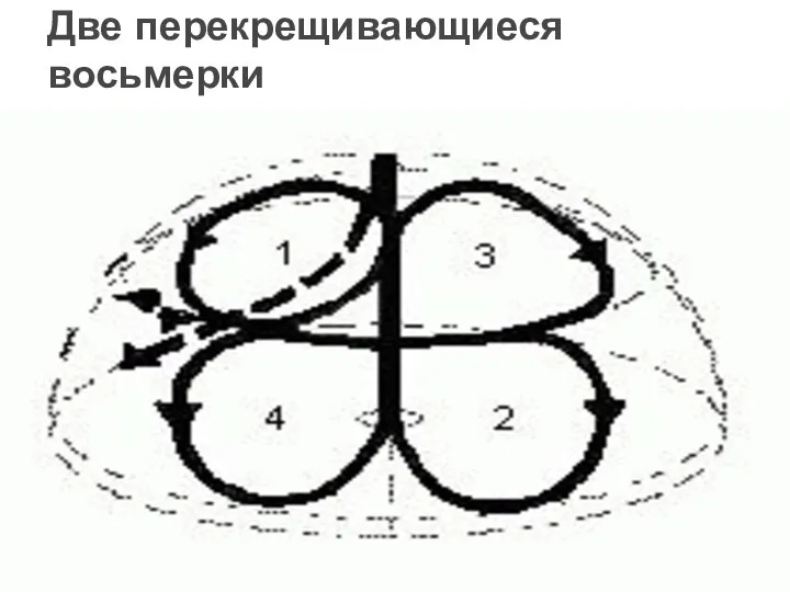 Две перекрещивающиеся восьмерки