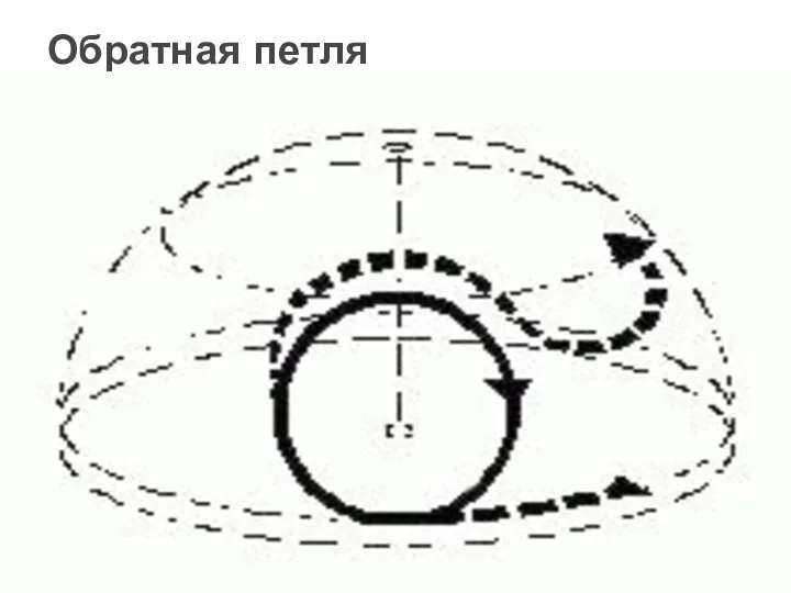 Обратная петля