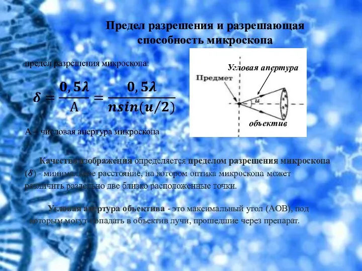 Предел разрешения и разрешающая способность микроскопа Угловая апертура объектив Угловая апертура объектива