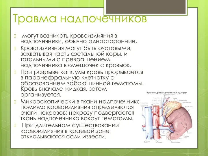 Травма надпочечников могут возникать кровоизлияния в надпочечники, обычно односторонние. Кровоизлияния могут быть