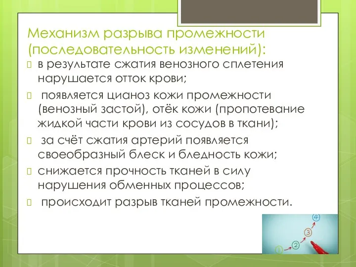 Механизм разрыва промежности (последовательность изменений): в результате сжатия венозного сплетения нарушается отток