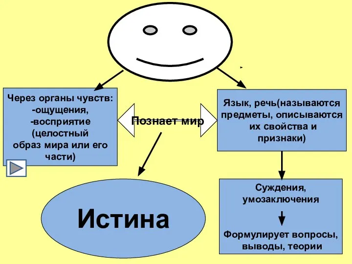 Через органы чувств: -ощущения, -восприятие (целостный образ мира или его части) Язык,