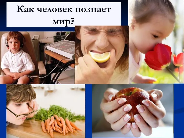 Как человек познает мир?