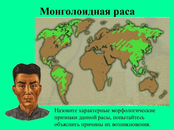 Монголоидная раса Назовите характерные морфологические признаки данной расы, попытайтесь объяснить причины их возникновения.