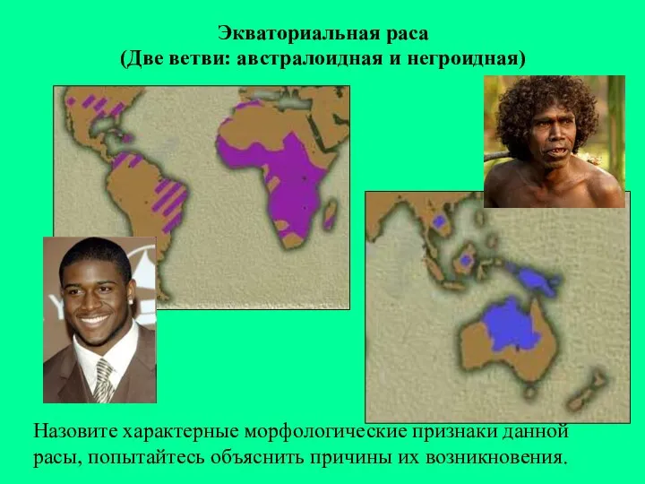 Экваториальная раса (Две ветви: австралоидная и негроидная) Назовите характерные морфологические признаки данной