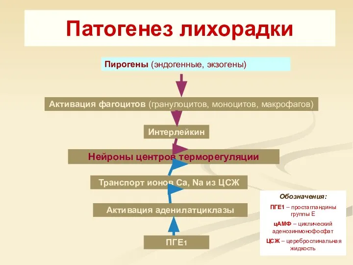 Патогенез лихорадки Пирогены (эндогенные, экзогены) Активация фагоцитов (гранулоцитов, моноцитов, макрофагов) Интерлейкин Нейроны