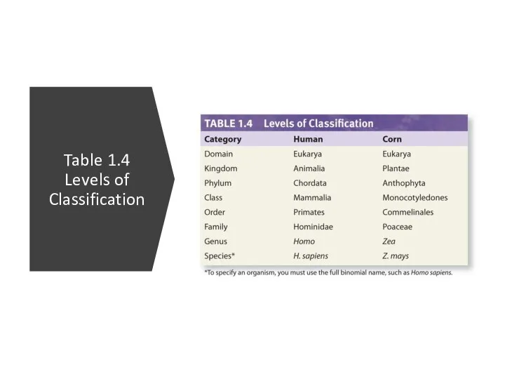 Table 1.4 Levels of Classification