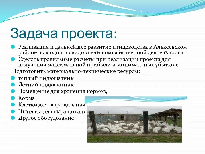 Задача проекта: Реализация и дальнейшее развитие птицеводства в Алькеевском районе, как один