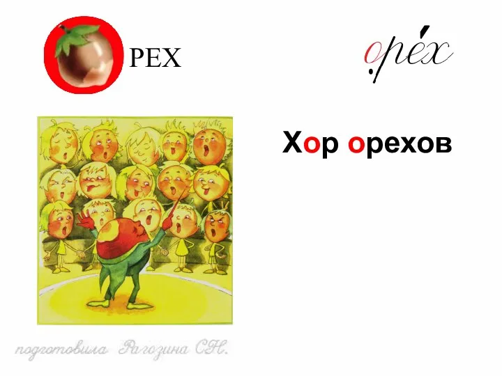 РЕХ Хор орехов