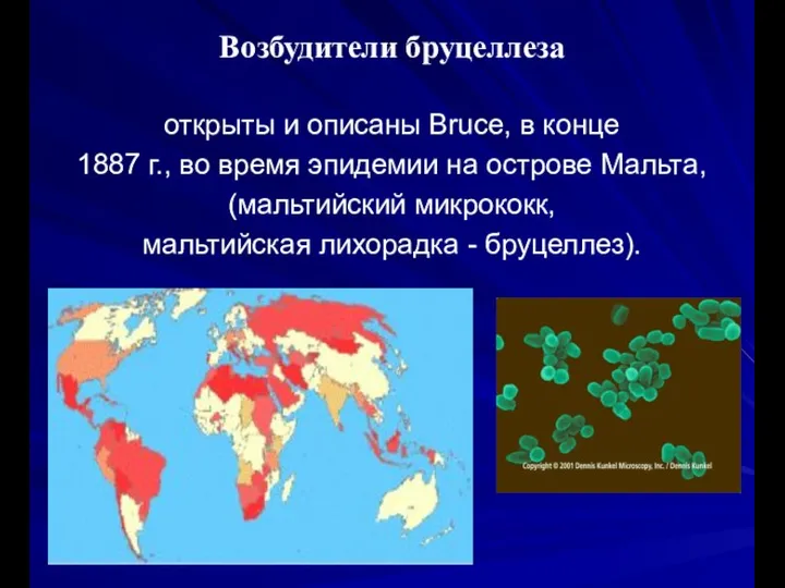 Возбудители бруцеллеза открыты и описаны Bruce, в конце 1887 г., во время