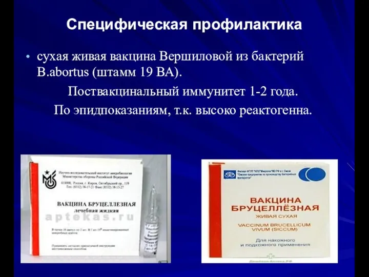 Специфическая профилактика сухая живая вакцина Вершиловой из бактерий B.abortus (штамм 19 ВА).