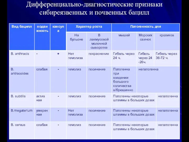 Дифференциально-диагностические признаки сибиреязвенных и почвенных бацилл