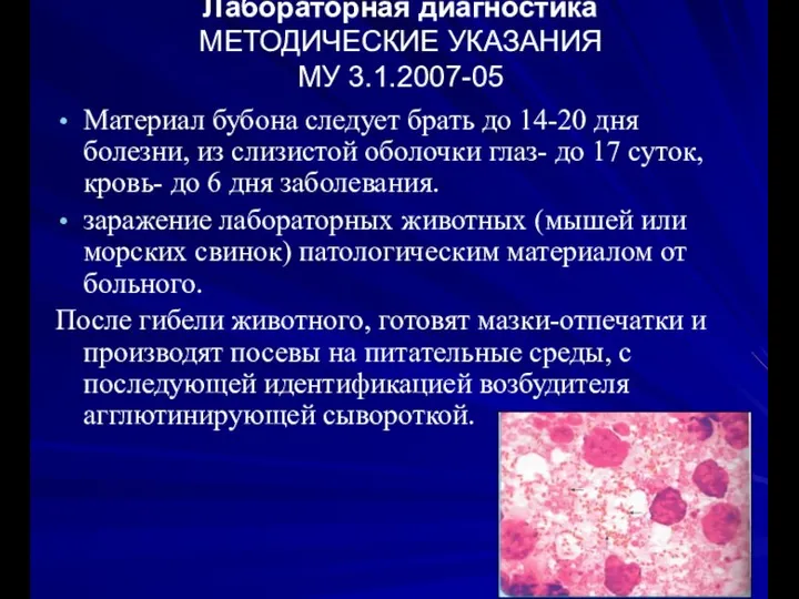 Лабораторная диагностика МЕТОДИЧЕСКИЕ УКАЗАНИЯ МУ 3.1.2007-05 Материал бубона следует брать до 14-20