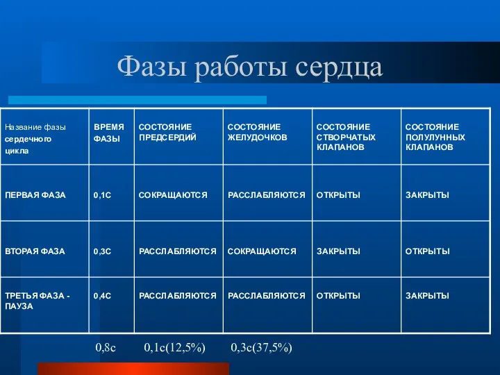 Фазы работы сердца 0,8с 0,1с(12,5%) 0,3с(37,5%)