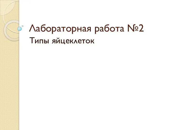 Лабораторная работа №2 Типы яйцеклеток