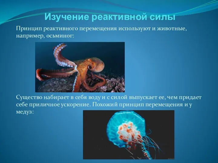 Изучение реактивной силы Принцип реактивного перемещения используют и животные, например, осьминог: Существо