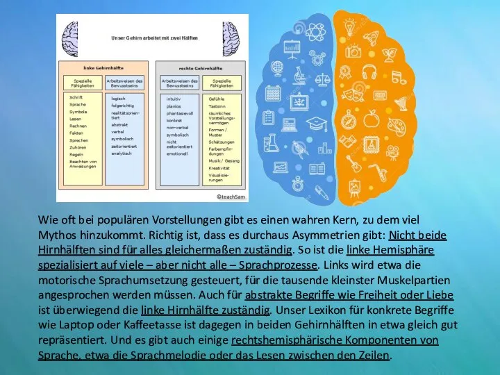 Wie oft bei populären Vorstellungen gibt es einen wahren Kern, zu dem