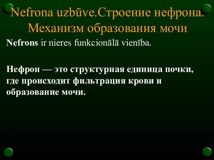 Nefrona uzbūve.Строение нефрона. Механизм образования мочи Nefrons ir nieres funkcionālā vienība. Нефрон