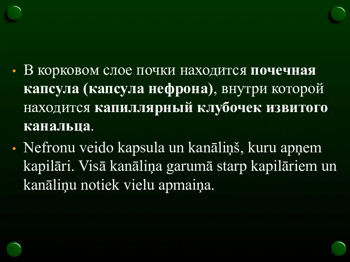 В корковом слое почки находится почечная капсула (капсула нефрона), внутри которой находится