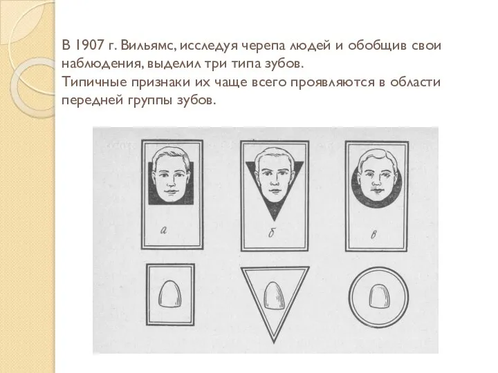 В 1907 г. Вильямс, исследуя черепа людей и обобщив свои наблюдения, выделил