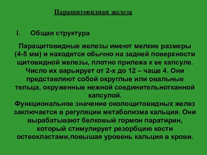 Паращитовидная железа Общая структура Паращитовидные железы имеют мелкие размеры (4-5 мм) и