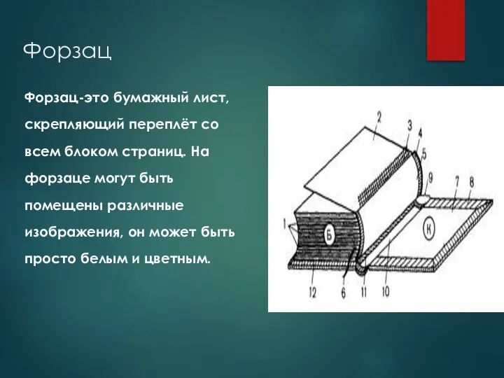 Форзац Форзац-это бумажный лист, скрепляющий переплёт со всем блоком страниц. На форзаце