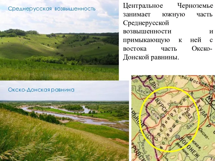 Центральное Черноземье занимает южную часть Среднерусской возвышенности и примыкающую к ней с