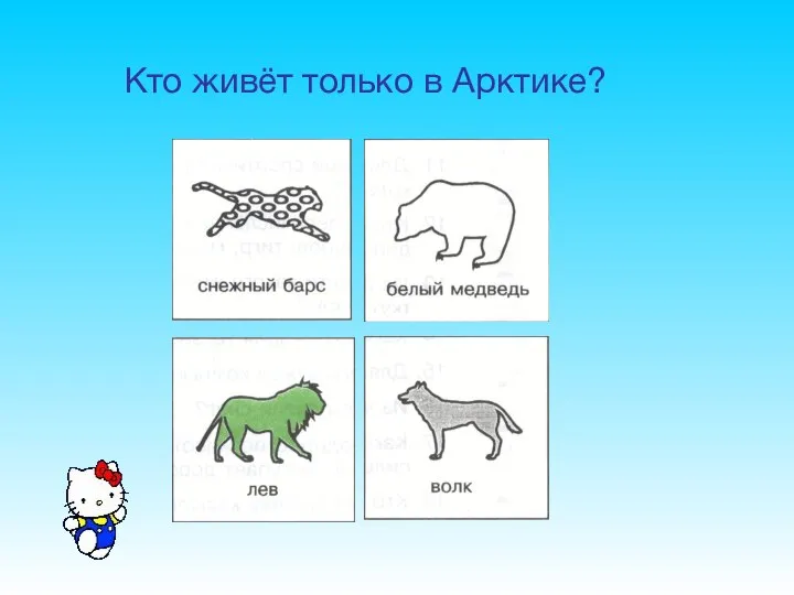 Кто живёт только в Арктике?