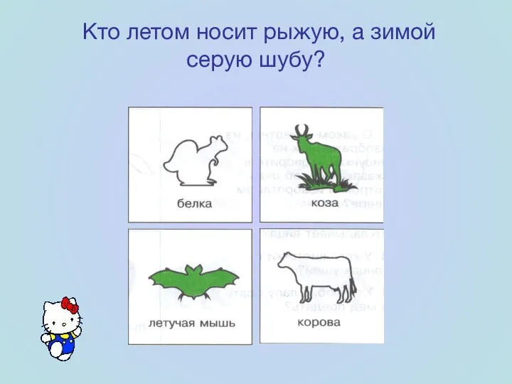 Кто летом носит рыжую, а зимой серую шубу?