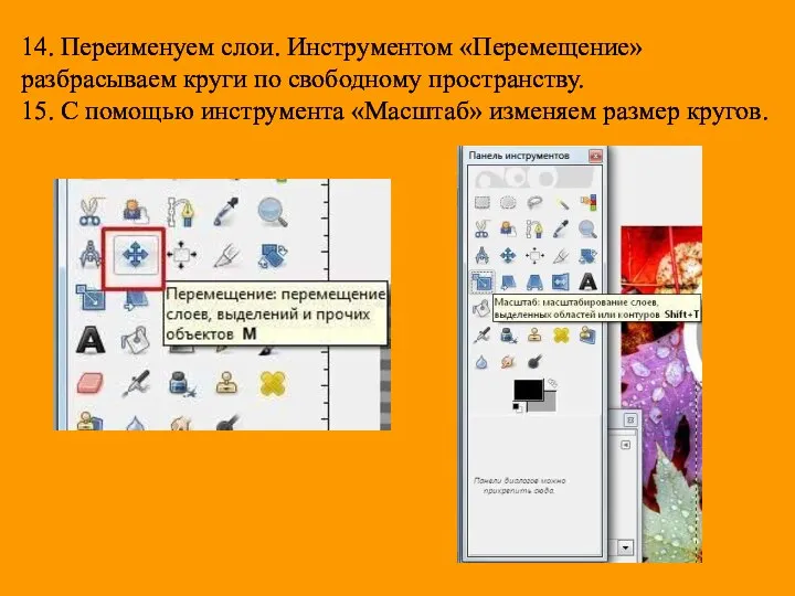 14. Переименуем слои. Инструментом «Перемещение» разбрасываем круги по свободному пространству. 15. С