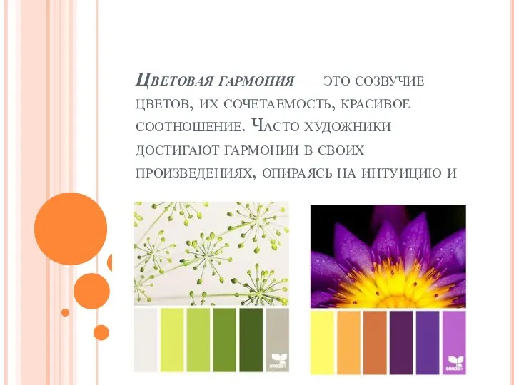 Цветовая гармония — это созвучие цветов, их сочетаемость, красивое соотношение. Часто художники