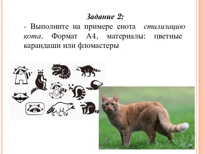 Задание 2: - Выполните на примере енота стилизацию кота. Формат А4, материалы: цветные карандаши или фломастеры