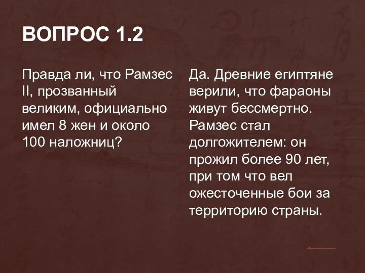 ВОПРОС 1.2 Правда ли, что Рамзес II, прозванный великим, официально имел 8