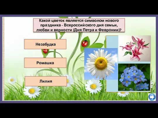Незабудка Лилия Какой цветок является символом нового праздника - Всероссийского дня семьи,